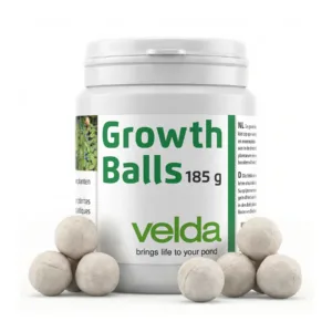 Growth Balls