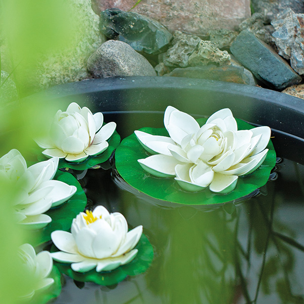 Lotus foam white