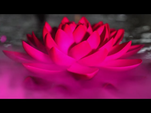 sddefault-bP_ETG9g79o