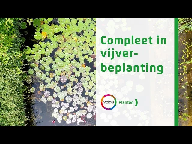 sddefault-szbhItuOZl0-2